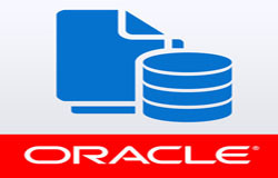 Oracle数据库管理工具有哪些?-北京KY.COM开元体育(中国)科技公司公司