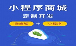 微信小程序开发、商城小程序开发功能-KY.COM开元体育(中国)科技公司KY.COM开元体育(中国)科技公司